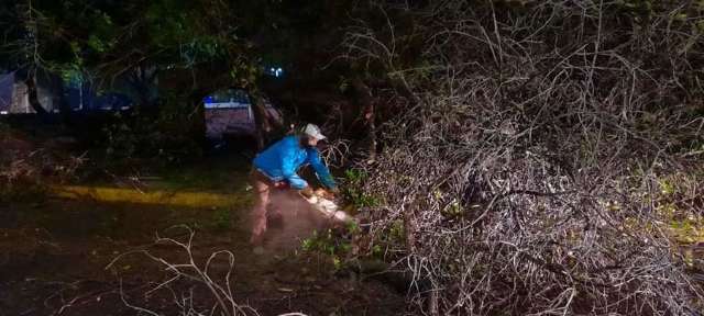 Temporal com ventos de at&eacute; 100 km/h derruba &aacute;rvores e energia em Aquidauana