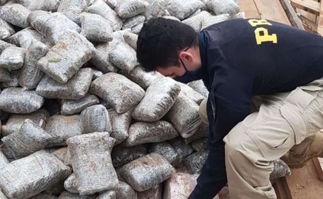 PRF apreende 4 toneladas de drogas escondidas em carga de madeira