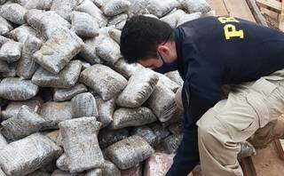 PRF apreende 4 toneladas de drogas escondidas em carga de madeira