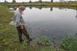 Aposentado vai pescar, flagra peixes mortos e mau cheiro em lago da Capital