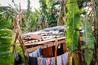 Morro do Mandela e as bananeiras que alimentam os moradores, mas se tornam ameaça durante os temporais (Foto: Henrique Kawaminami)