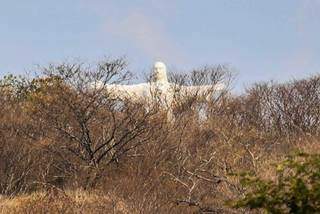 Cristo Rei do Pantanal: símbolo de Corumbá em meio à vegetação seca. (Foto: Marcos Maluf)