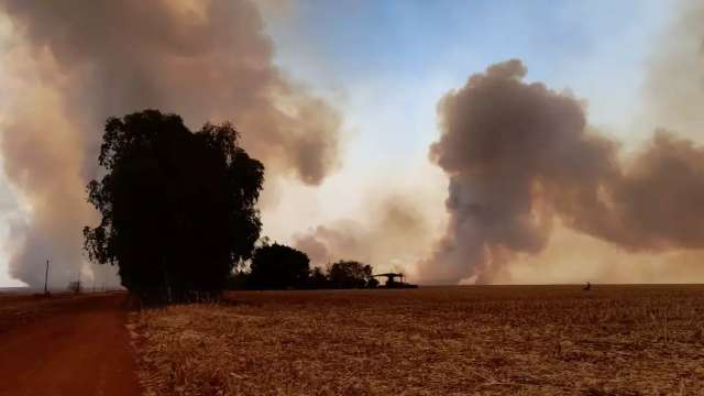 Ventos de 56 km/h espalham inc&ecirc;ndios na &aacute;rea rural de Chapad&atilde;o do Sul