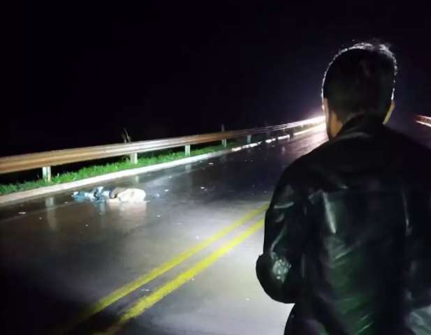 Pedestre &eacute; atropelado e encontrado morto &agrave;s margens da MS-157