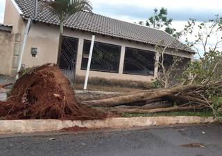 Chuva de granizo danifica telhados e munic&iacute;pio no Sul decreta emerg&ecirc;ncia