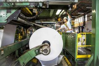 Fábrica de papel instalada no Estado. Segmento foi o que melhor apresentou resultado (Foto: Divulgação)