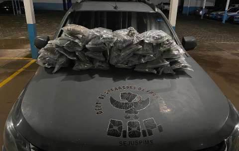Adolescente &eacute; apreendido a caminho da Capital com mochila &quot;recheada&quot; de skunk