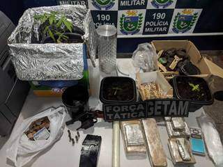 Presa por tr&aacute;fico, dupla tinha estufa caseira de maconha em casa