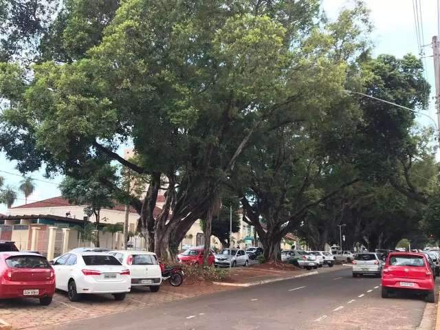 Empresa ter&aacute; 18 meses para concluir obra na Avenida Mato Grosso