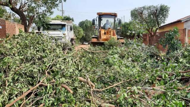 Equipes realizam limpeza dos estragos causados por temporal em Aquidauana