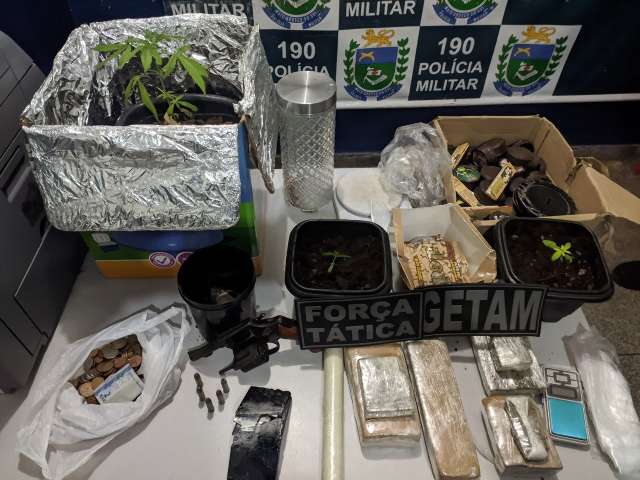 Presa por tr&aacute;fico, dupla tinha estufa caseira de maconha em casa