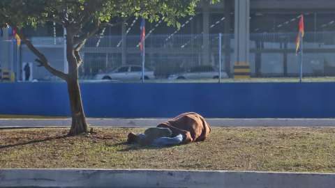 No domingo frio, moradores de rua dormem até em canteiro de avenida