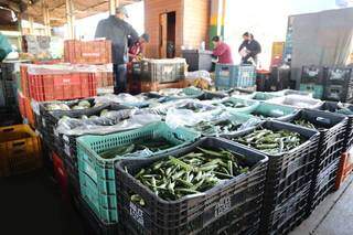 Na Ceasa, onda de frio dobra pre&ccedil;o de produtos e tomate ainda pode ter alta