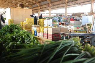 Na Ceasa, onda de frio dobra pre&ccedil;o de produtos e tomate ainda pode ter alta