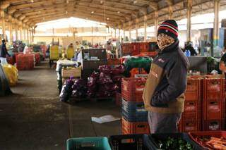 Na Ceasa, onda de frio dobra pre&ccedil;o de produtos e tomate ainda pode ter alta