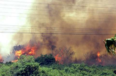 União libera R$ 562,8 mil para combate a incêndios no Pantanal
