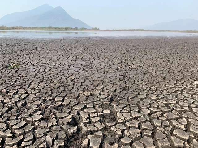 Fogo n&atilde;o d&aacute; tr&eacute;gua e, junto com a estiagem, cen&aacute;rio no Pantanal &eacute; de devasta&ccedil;&atilde;o