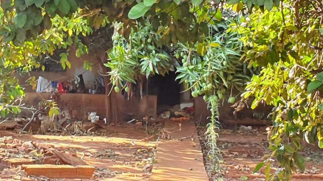 Mulher &eacute; encontrada morta e per&iacute;cia suspeita que c&atilde;es mutilaram corpo