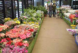 Corredor já na entrada da loja mostra a diversidade de flores e plantas. (Foto: Marcos Maluf)