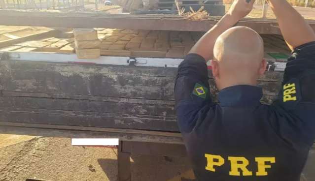 Caminhoneiro &eacute; pego com 600 kg de maconha e diz ter sido contratado para frete