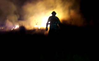 Brigadista do Prevfogo em ação durante incêndios na região pantaneira (Foto: Reprodução/Prevfogo)