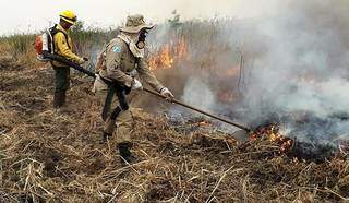 Trabalho de combate ao incêndio no Pantanal (Foto: Divulgação - CBMS)