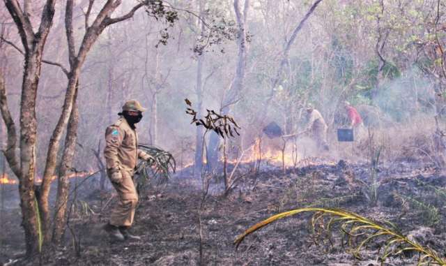 Mour&atilde;o contraria minist&eacute;rio e diz que opera&ccedil;&otilde;es no Pantanal v&atilde;o continuar