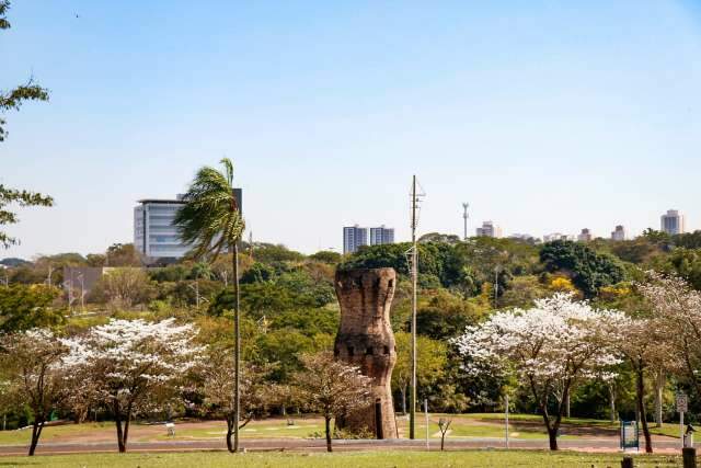 No parque fechado pela pandemia, vida segue com florada dos ip&ecirc;s brancos