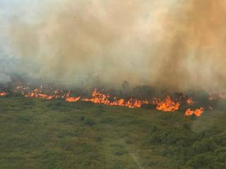 Incêndios criminosos estão entre as práticas que contribuem para o desmatamento do Pantanal (Foto: Ibama/Divulgação)