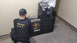 Traficante tenta fugir de abordagem, mas acaba preso com carro lotado de maconha