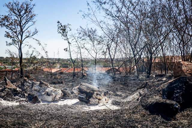 Cena &eacute; de devasta&ccedil;&atilde;o em &aacute;rea atingida por fogo no Monte Castelo