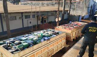 Carreta bitrem com 33,3 toneladas de maconha em frente à sede do DOF, em Dourados (Foto: Adilson Domingos)