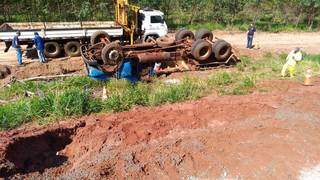 Caminhão carregado com mudas de grama saiu da pista e tombou (Foto: Direto das Ruas)