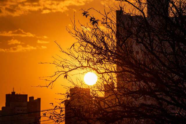 Quinta-feira ser&aacute; mais um dia de tempo seco com umidade baixa e calor de 41&ordm;C 