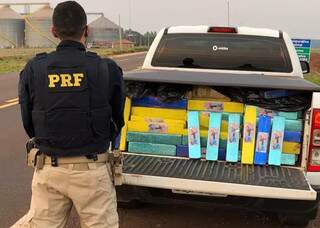 Traficante abandona caminhonete com 1,4 mil quilos de maconha na BR-463