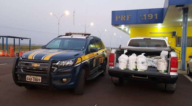 Homem &eacute; flagrado com 300 quilos de agrot&oacute;xicos contrabandeados na MS-141