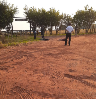 Casal &eacute; encontrado morto com tiros na cabe&ccedil;a e nuca na MS-040 