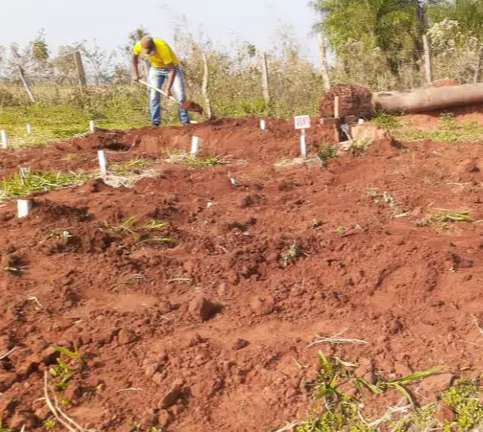 Corpos de meninas mortas por paraguaios s&atilde;o exumados