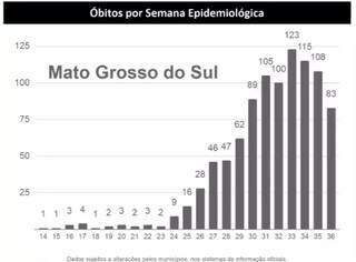Caem registros de novos positivos e mortes, mas MS teve 54 &oacute;bitos em 5 dias