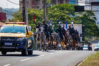 Vinte cavalos na Avenida Afonso Pena, durante o desfile desta manhã. (Foto: Henrique Kawaminami)