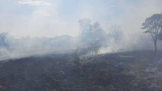 Fumaça da queimada em terreno na Vila Ieda. (Foto: Direto das Ruas)