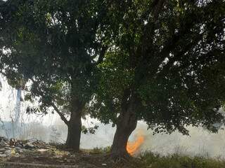 Moradora da Rua Alto da Serra fica assustada com fogo em terreno nas Moreninhas. (Foto: Direto das Ruas)