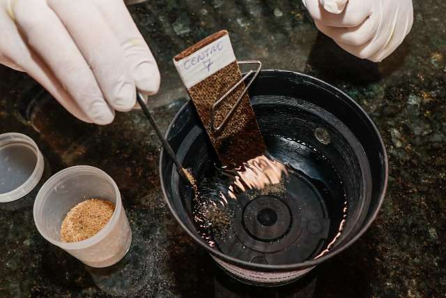Armadilha com inseticida contra Aedes ser&aacute; testada por 3 meses na Capital