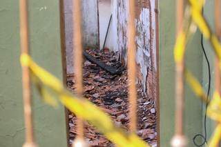 Dez dias após incendiar casa da ex, homem é preso saindo de unidade de saúde Dez dias após incendiar casa da ex, homem é preso saindo de unidade de saúde