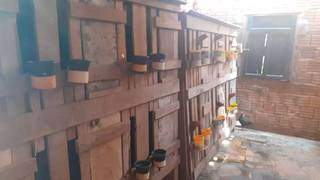 Gaiolas de madeira onde galos eram mantidos. (Foto: Divulgação | PMA)