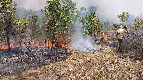 Além de Pantanal, fogo também consome região da nascente do Rio Taquari