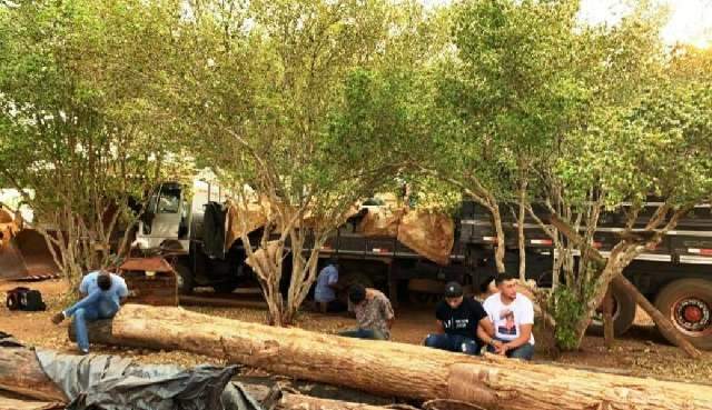 Pol&iacute;cia prende quatro homens com 5,6 toneladas de maconha na fronteira
