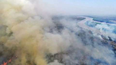 Campanha em vídeo pede que população denuncie queimadas no Pantanal