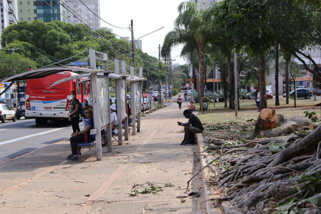 Ap&oacute;s &aacute;rvore &ldquo;virar p&oacute;&rdquo;, quem frequenta Pra&ccedil;a do R&aacute;dio reclama do &ldquo;sol&atilde;o&rdquo; 