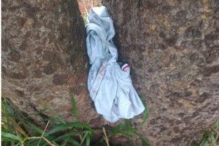 Camiseta suja de sangue que o assassino usava foi encontrada escondida em árvore (Foto: divulgação/Polícia Civil)